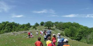 Lucci, un bilancio del 2018 tra Arcobaleno e Girasole arcobaleno