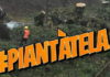 Genzano, si presenta il comitato #piantatela #piantatela