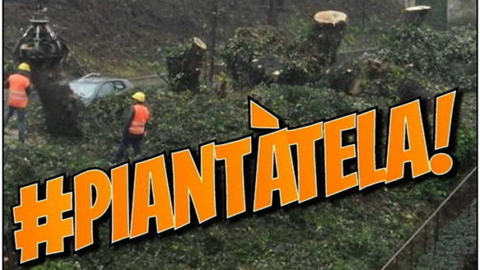 #piantatela