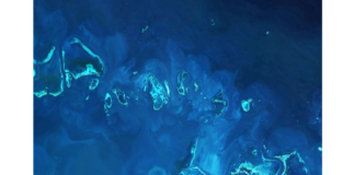 Un pianeta sorprendente, nuova esposizione alle Scuderie barrieracorallina