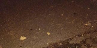 Cocciano, il caso dei tombini non completamente riparati tombino