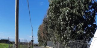 Monte Compatri “pronto nuovo bando di tutela ambientale” montecompatri