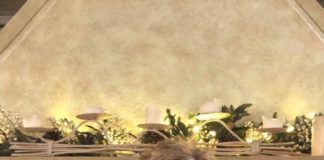 Passini “Covid, ecco cosa veramente succede…” passini