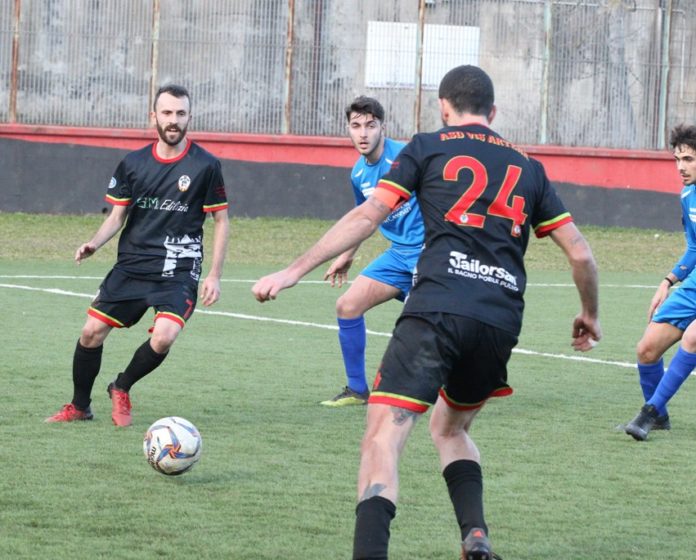 vis_artena_13_gen_19 vis_artena_13_gen_19