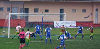 Con Tozzi e Baldassi la Vis Artena batte il Budoni tozzi