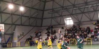 Virtus Velletri, festa con il minibasket alla Polivalente virtusvelletri