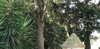 Pocci: «Velletri modello di integrazione» orlandopocci