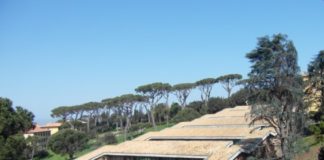 Alla Paolo VI più lingue straniere e sport per il 2021 scuola