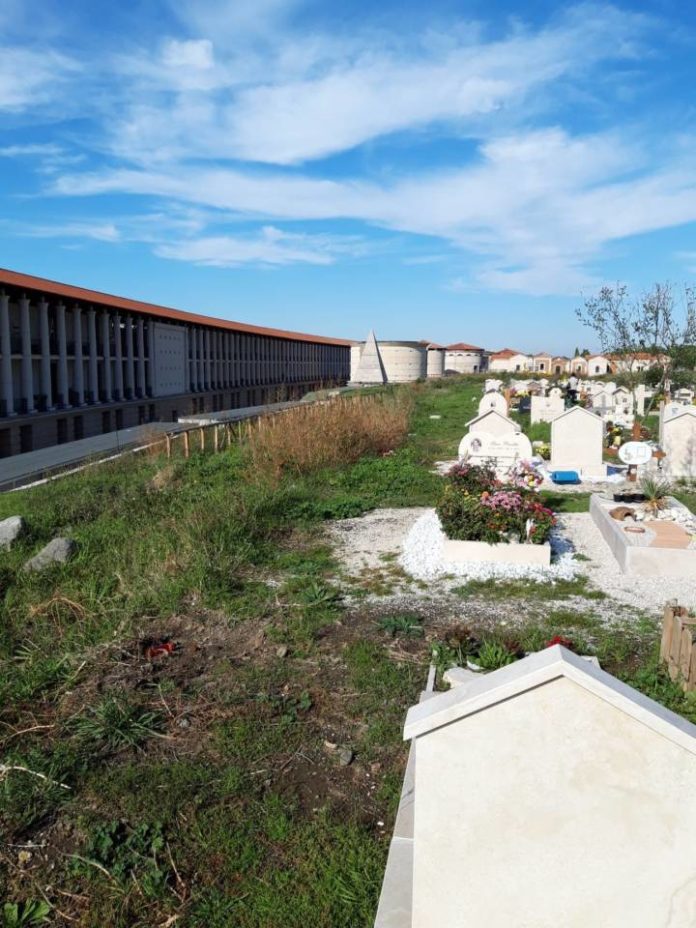 cimiterociampino