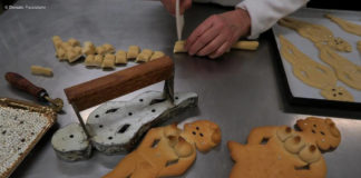 Terre Ospitali a Frascati ad inizio febbraio terreospitali