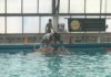 Prima di campionato ok per la Waterpolis Lariano pallanuoto