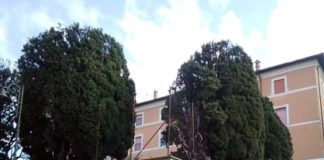 Grottaferrata, il punto sulla riapertura scolastica di settembre cipressi