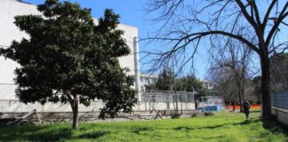 Righini “Grazie a Fdi orti e allevamenti domestici tutelati” ortirapporti