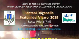Campagna di conteggio e salvataggio anfibi 2019 parco