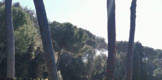 V Municipio, nota di Maritato e Grossi villaborghese