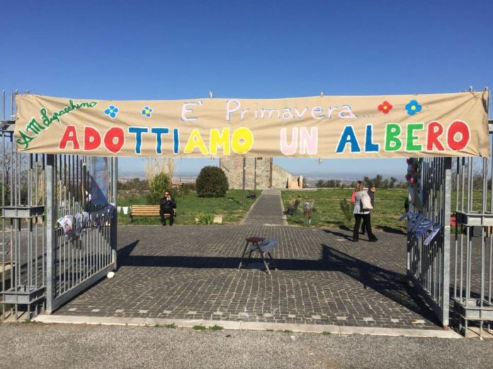 adottiamo_albero