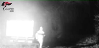 Coppia di piromani arrestati nel Parco dei Castelli incendio