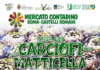 Tour dei carciofi alla matticella a Marino tourcarciofi