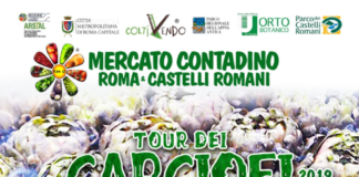 Tour dei carciofi alla matticella a Marino tourcarciofi