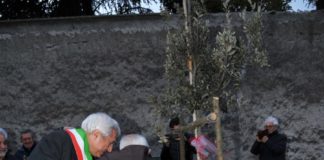 Piantato un leccio in ricordo di Fra Rufino ad Albano leccio_fra_rufino