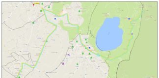 Nuova linea di bus per l’Ospedale dei Castelli locandina