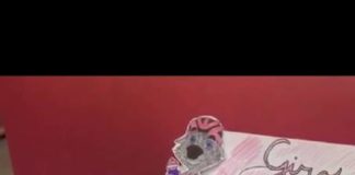 La Lupacchino si aggiudica il Concorso Biciscuola 2019 lupacchino_biciscuola_2019