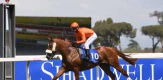 Dubay Day apre stagione Ippodromo Capannelle dubayday