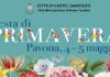 Pavona si colora con la Festa di Primavera festa_primavera_2019