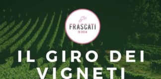 Giro dei vigneti a Frascati il 27 e 28 aprile giro_vigneti_2