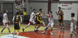 Successo ad Anagni per la Virtus Velletri miele