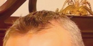 Nasce ad Albano comitato per Giorgia Meloni Sovranisti e Conservatori francesco_d_alessandro