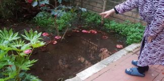 Palazzine via Prati, nota di Silvani e Venanzoni degrado_via_prati