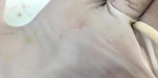 Nota della consigliera Gizzi in merito a Cir Food pezzo_ferro