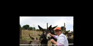 Radio Parco – Notiziario