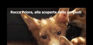 Radio Parco – Notiziario