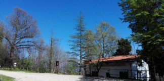 Le proposte per i giorni di festa del Parco dei Castelli monte_artemisio_foto_russo_fiorillo