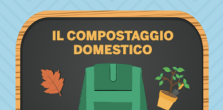 Incontro sul Compostaggio Domestico a Grottaferrata compostaggio_domestico_grotta