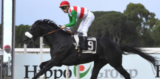 Domenica 19 maggio è il Derby Day di Capannelle derby_capannelle