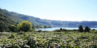 Cose Mai viste, gli appuntamenti del 25 e del 26 maggio nemi