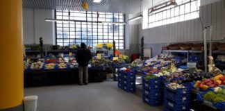 Frascati, riapre il piano inferiore del Mercato Coperto mercato_coperto_frascati