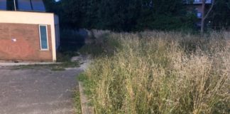 Scuola Vivaldi invasa da erbacce e sterpaglie degrado_scuola_vivaldi