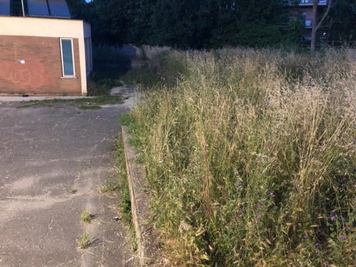 degrado_scuola_vivaldi