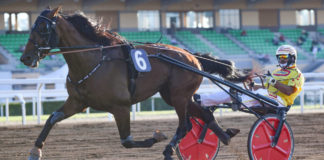Giornata di trotto a Capannelle sabato 29 giugno trotto_capannelle