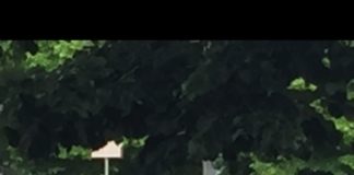 Latina, il degrado della zona Santa Maria Goretti latina