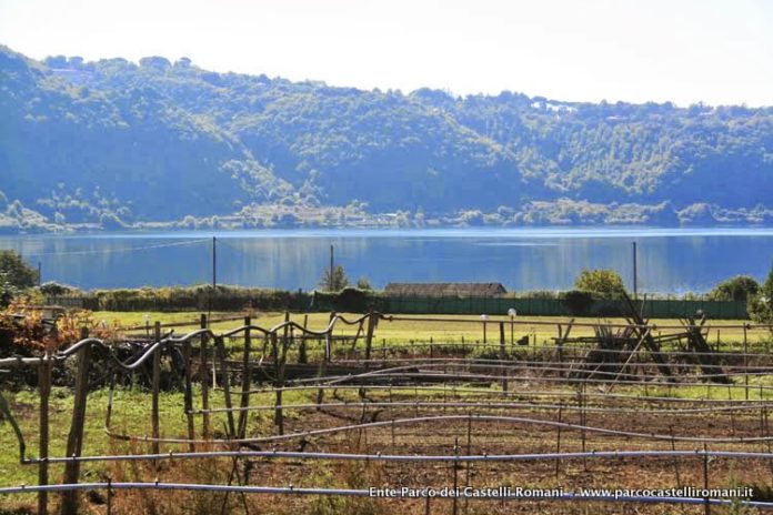 nemi_panorama_parco_castelli