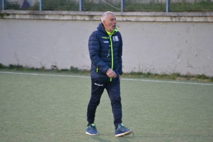 ceccarelli ceccarelli