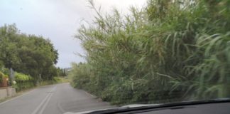 Degrado periferie, il Pd di Frascati”E’ ora di darci un taglio” degrado_periferie_frascati