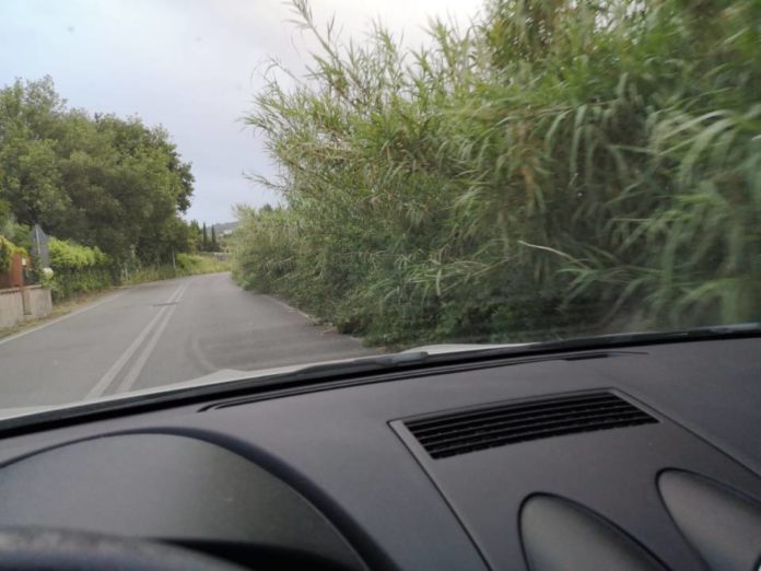 degrado_periferie_frascati