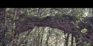 Radio Parco – Notiziario del 22 e 23 giugno