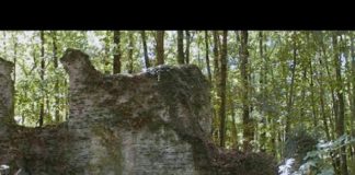 Radio Parco – Notiziario del 29 e 30 giugno